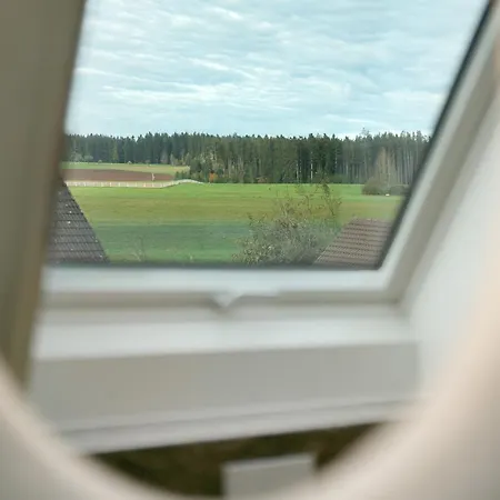 Maurer Daire *